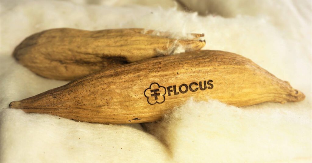 flocus