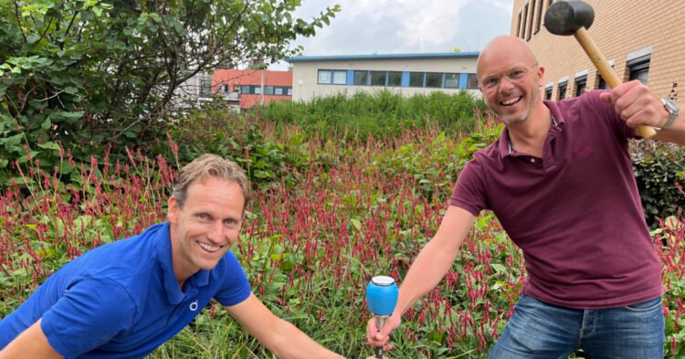Utrecht-based water technology company Sensoterra bags €1M to develop water management solutions