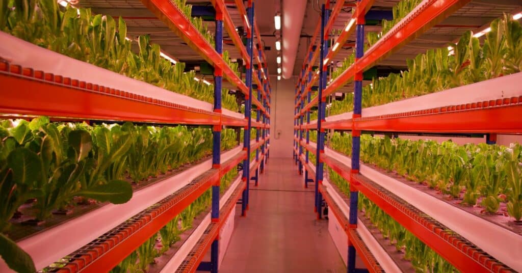 ECO-1-Emirates vertical farm