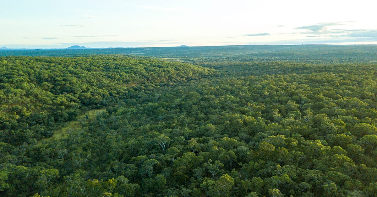 Revalue Nature