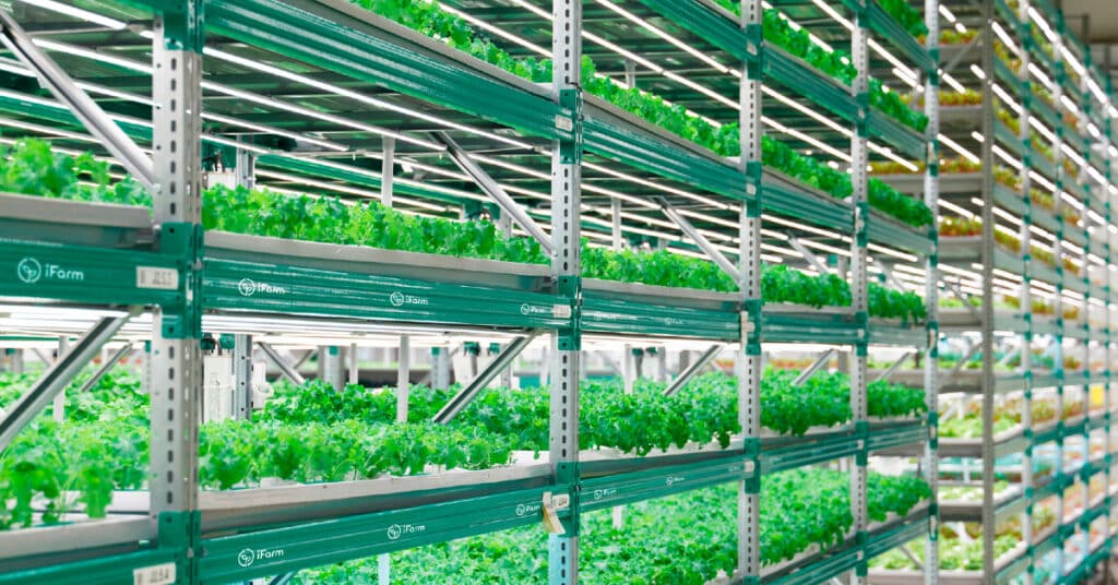 iFarm indoor farming