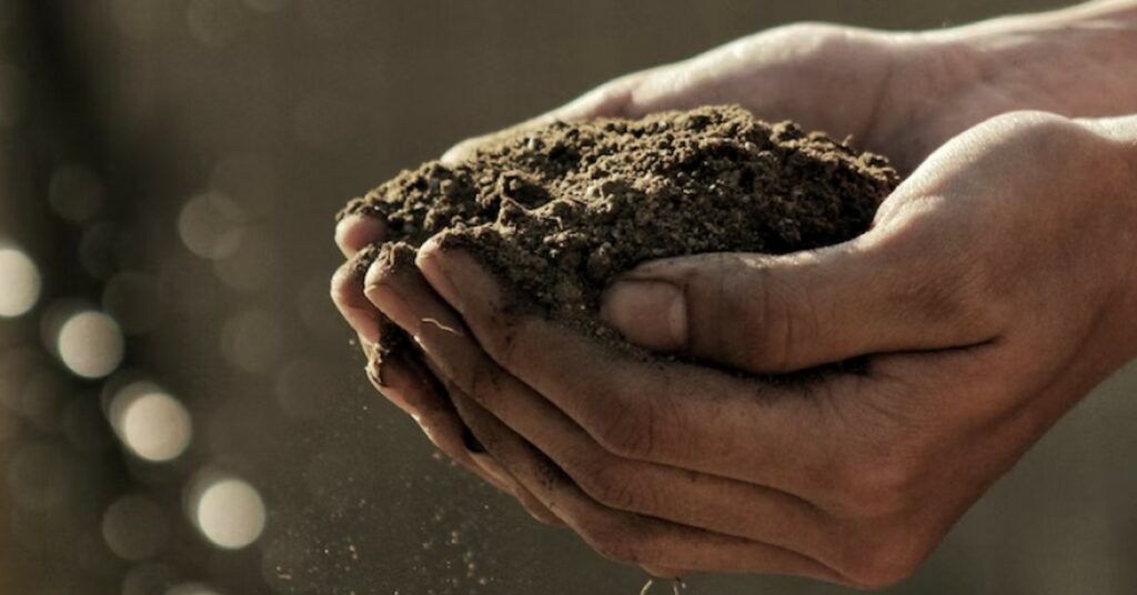 soil data agurotech