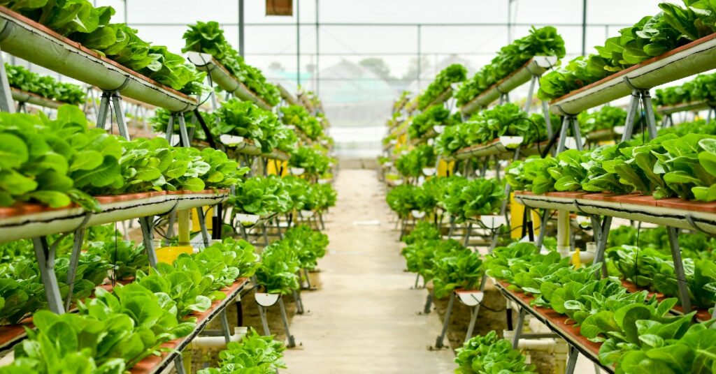 vertical farming