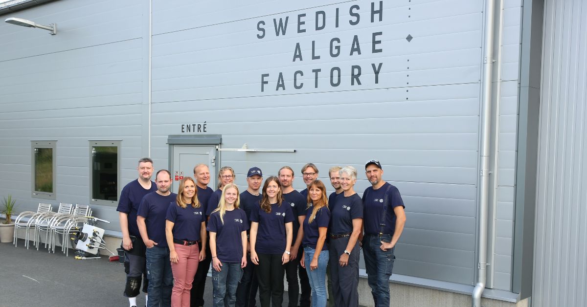 Swedish Algae Factory