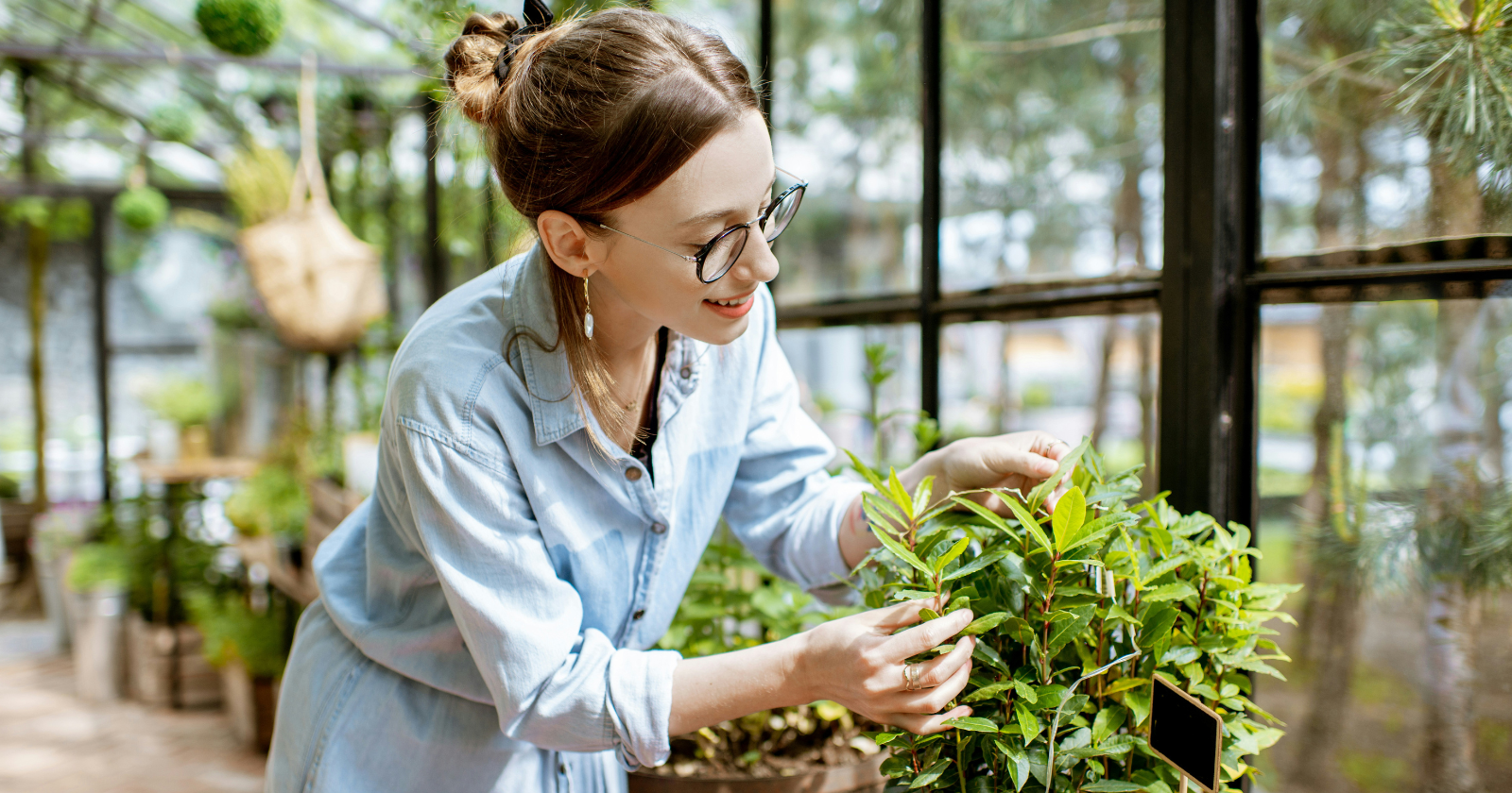 The 1:11 bay leaf ritual went viral-because it hacks "fresh start" psychology - Silicon Canals