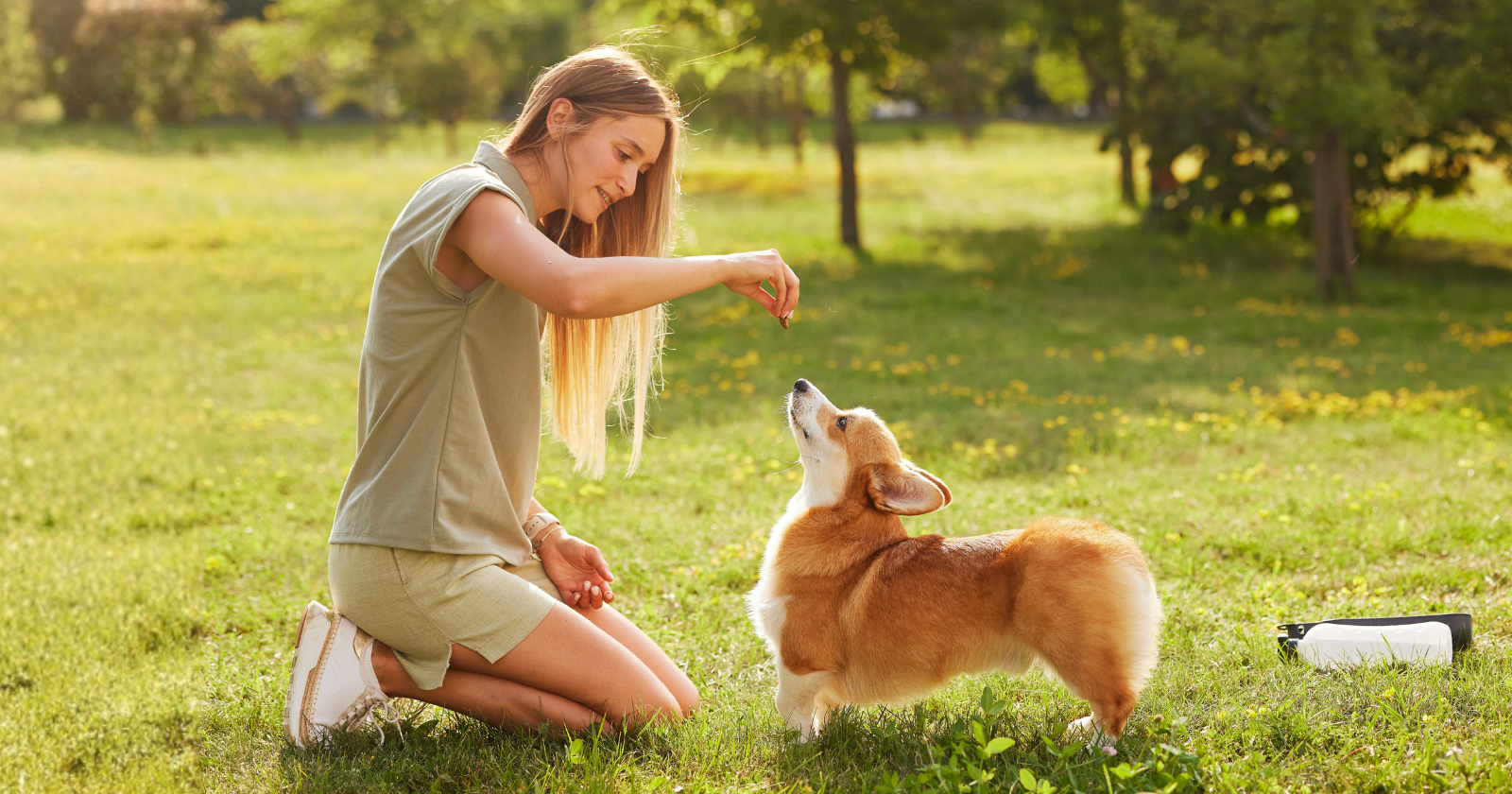 The 3 dog training mistakes that create anxiety in puppies-and most owners do them daily without realizing it - Silicon Canals