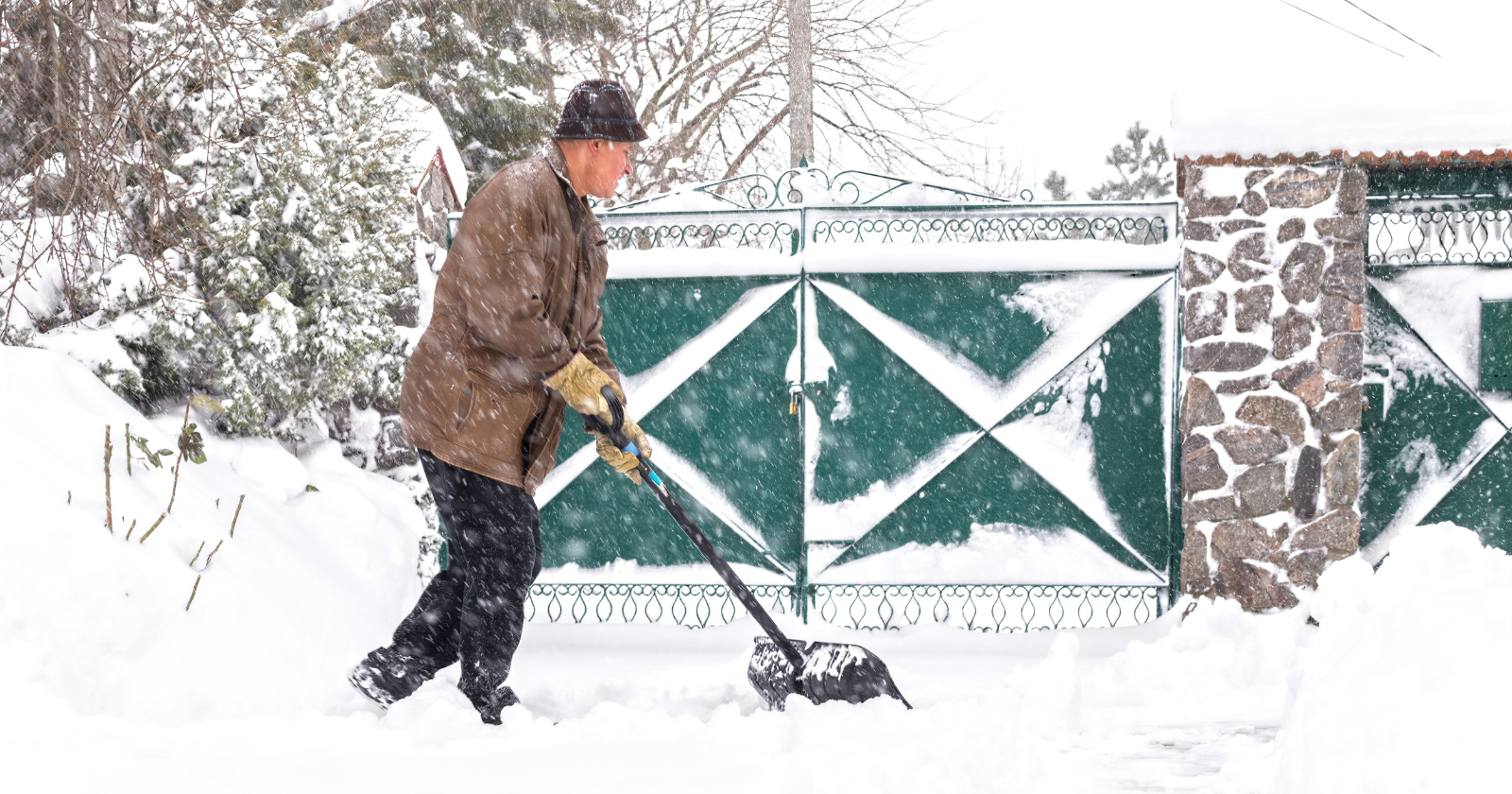 The 48-hour rule every homeowner should follow after a hard freeze - Silicon Canals
