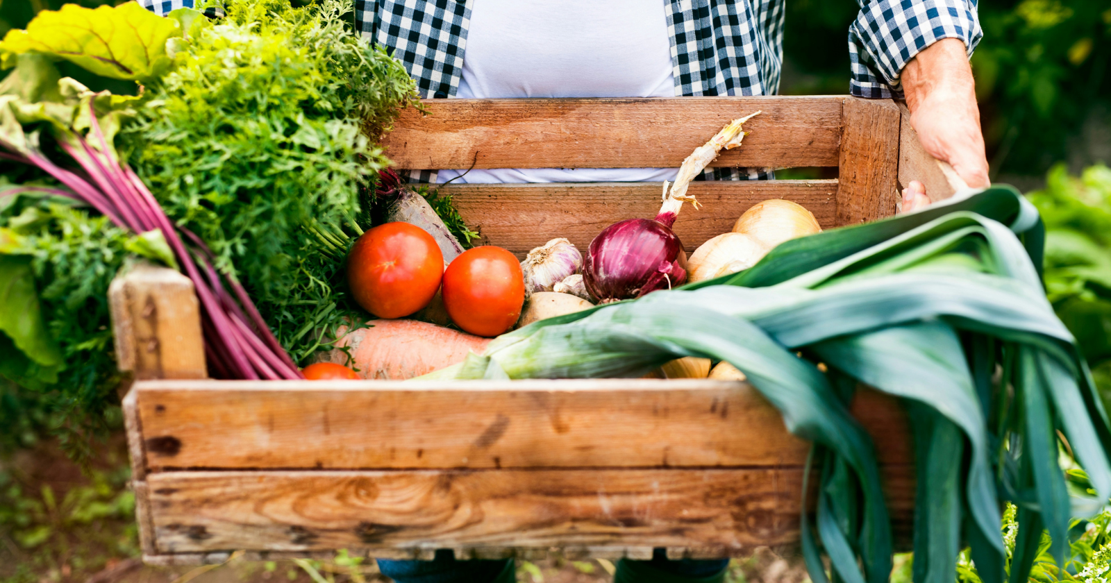 Why you should never store potatoes and onions together and what happens when you do - Silicon Canals