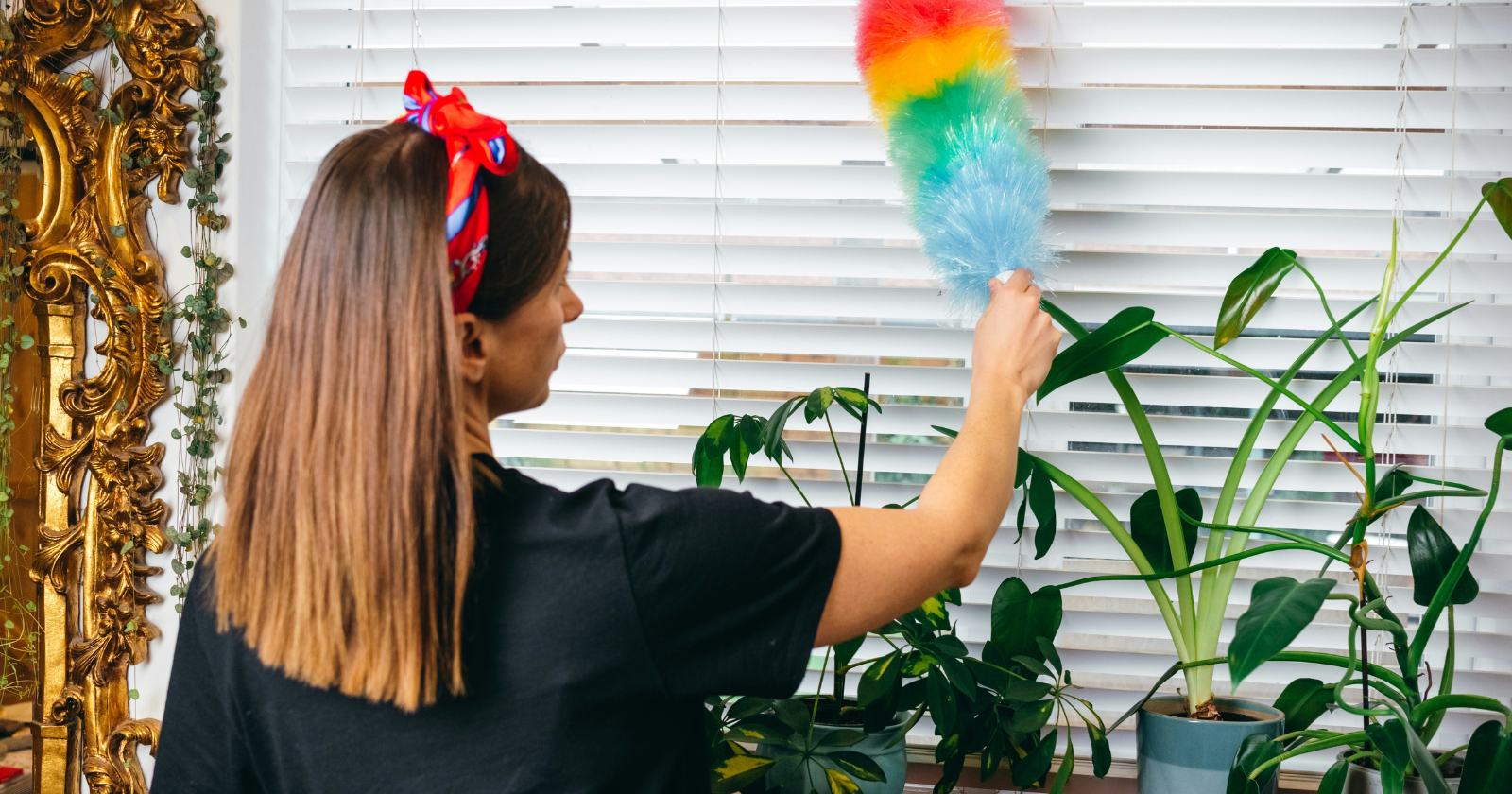 Why your house is dustier than your neighbor's and the airflow mistake causing it - Silicon Canals