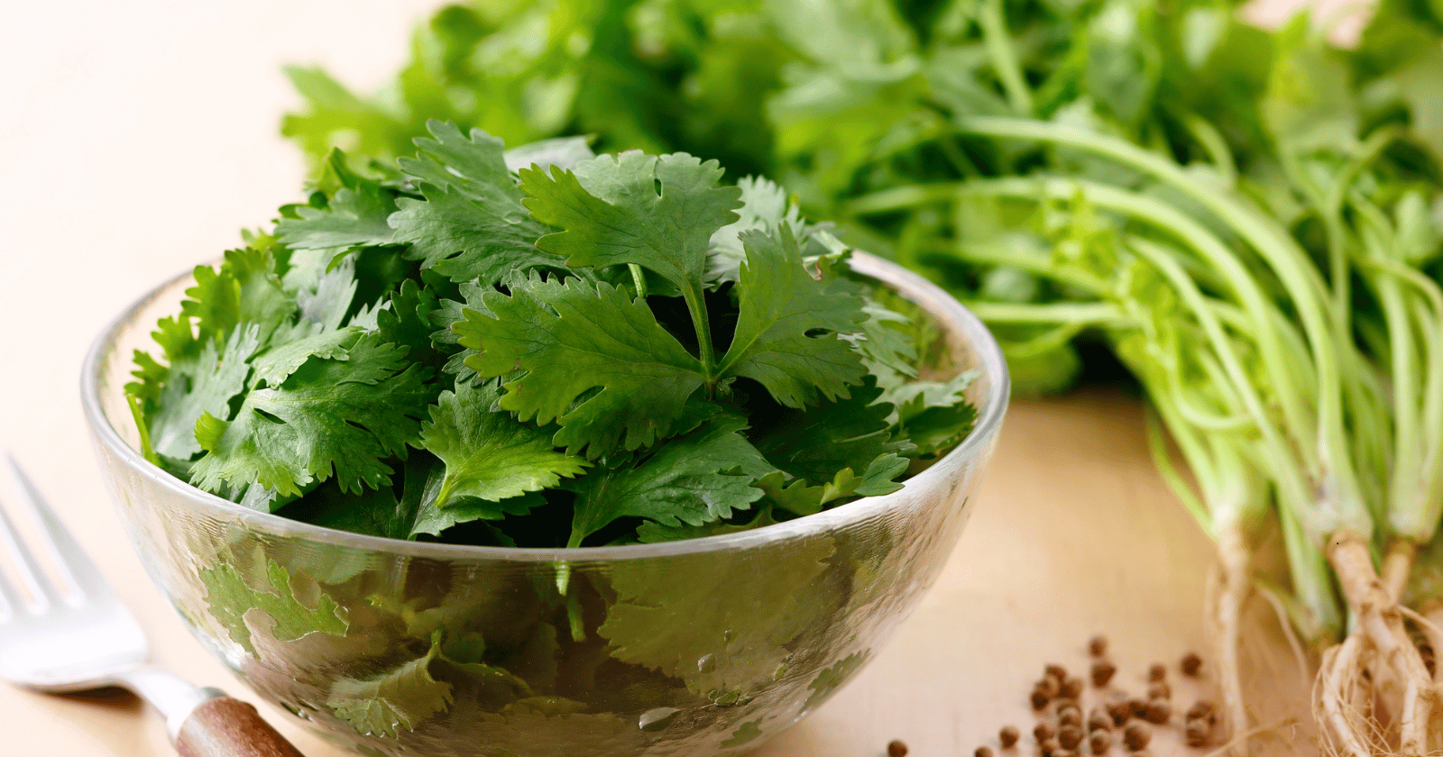 This gene mutation on chromosome 11 is why cilantro tastes like dish soap to millions of people - Silicon Canals