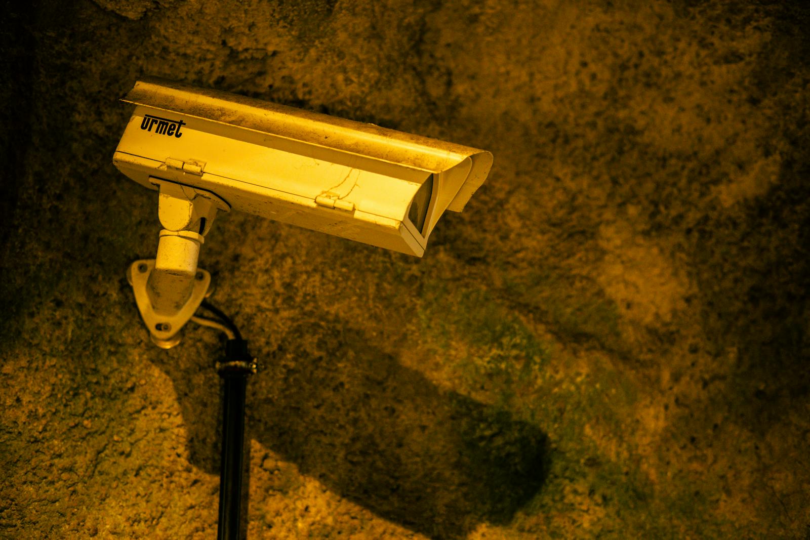 digital surveillance capitalism