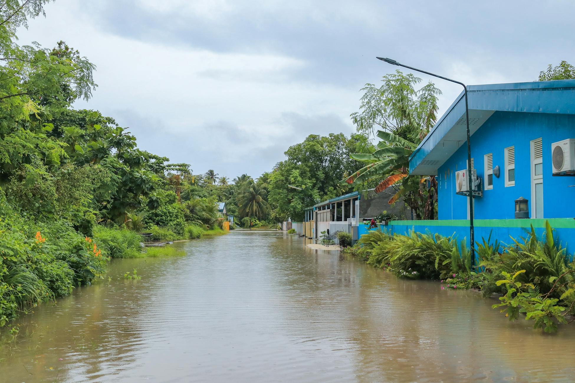 Singapore warns residents to avoid Pioneer, Jurong East and Bukit Timah as flash floods hit the city
