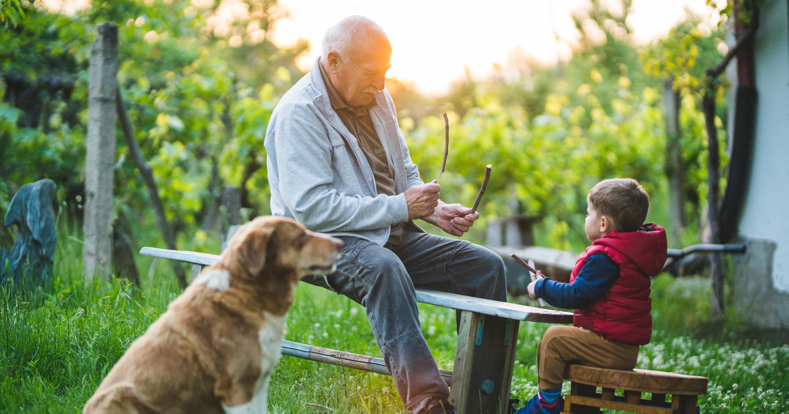 I’m 66 and my eight-year-old grandson looked at a photograph of me at thirty and said “Grandpa, were you handsome?” and the word “were” did something to me that I still can’t explain to my wife three weeks later