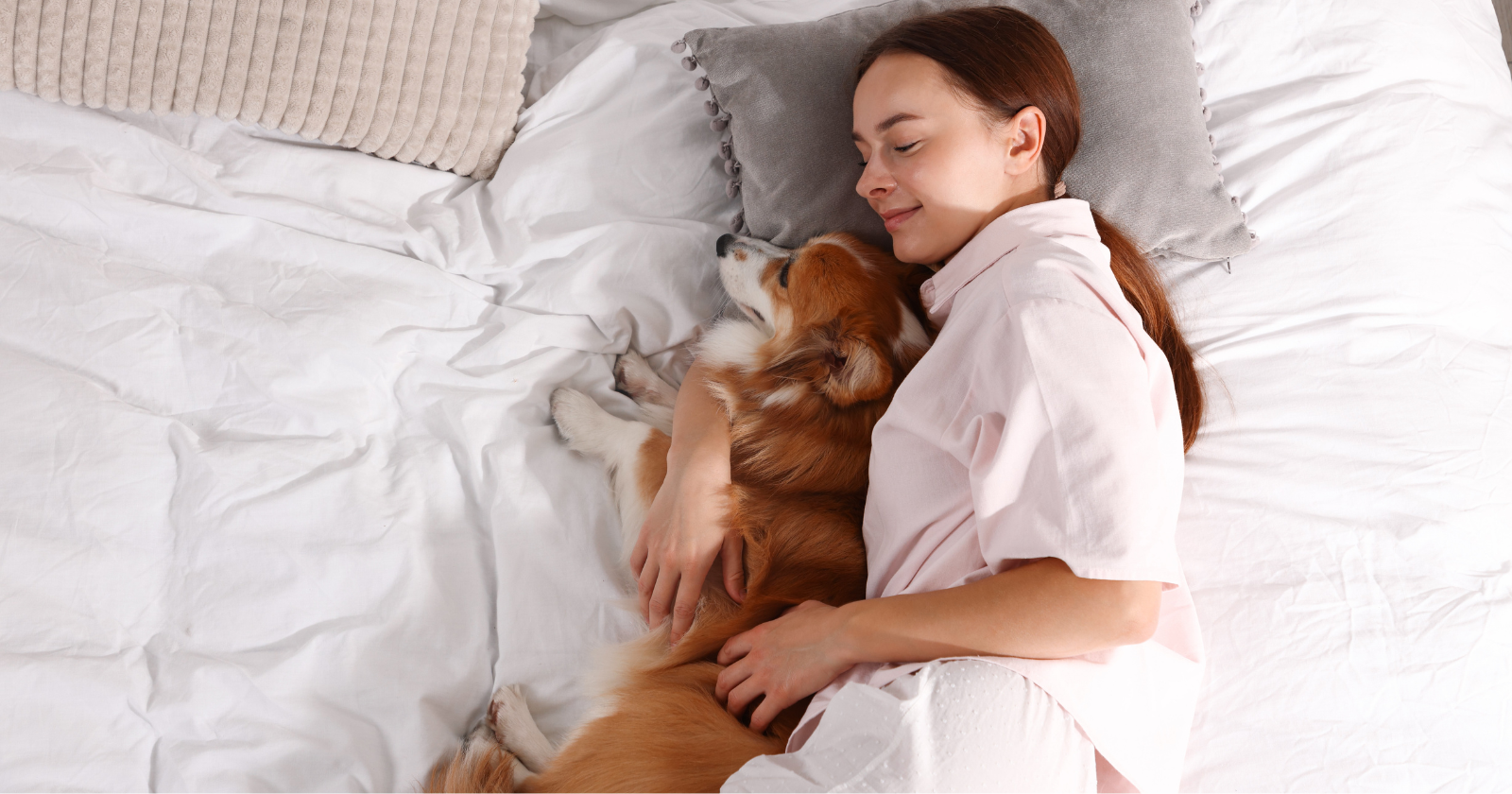 Psychology says people who sleep in the same bed as their dogs aren't substituting the dog for human intimacy - they're supplementing a human life with the one kind of companionship that asks for nothing, carries no grievances into the bedroom, and has never once in the history of the arrangement woken up on the wrong side - Silicon Canals