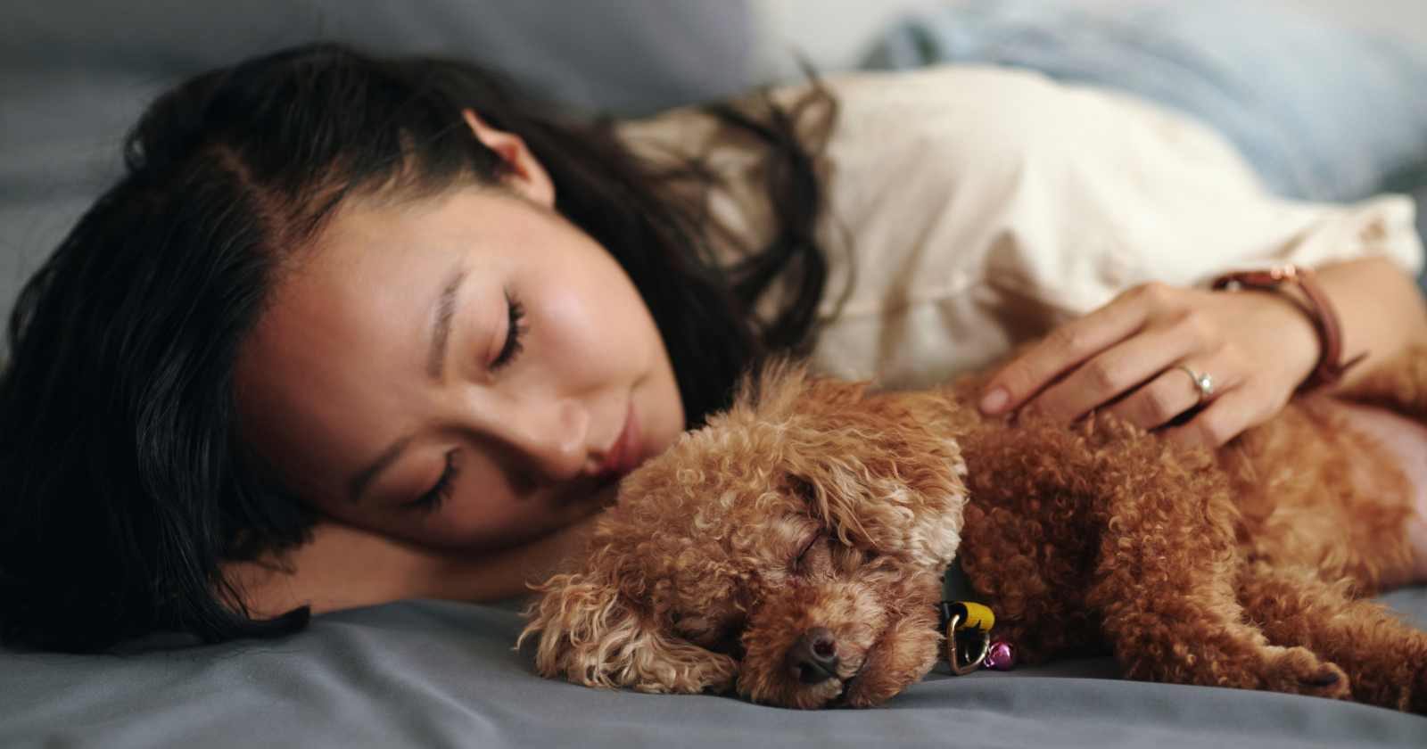 Research suggests adults who find it easier to bond with animals than with people aren’t antisocial — they’re drawn to a form of connection where the terms are visible, the loyalty isn’t conditional, and the relationship doesn’t require them to monitor a constantly shifting set of expectations that human attachment taught them to treat as a second job