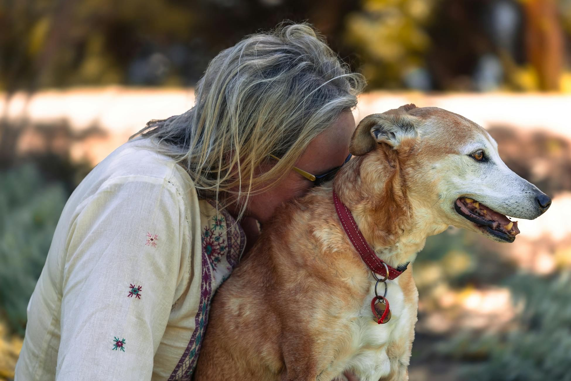 Psychology says the grief people feel when a dog dies is often heavier than they expected because the dog witnessed years of their private self that no human in their life ever saw - Silicon Canals