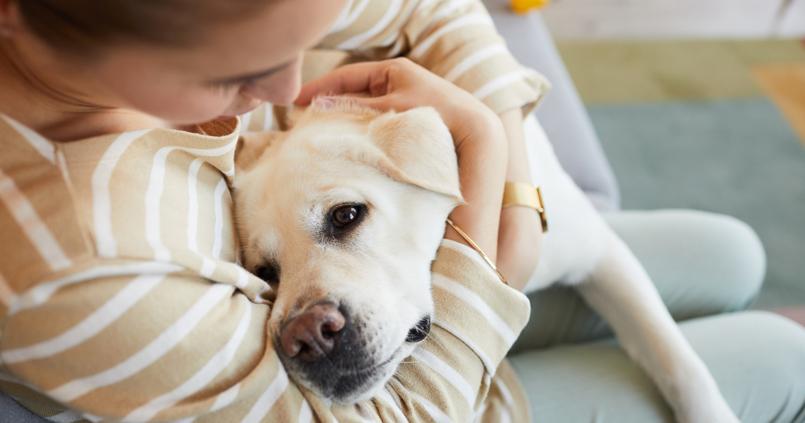Dog Breeds That Bond Most Deeply With Their Owners: What the Science Actually Says