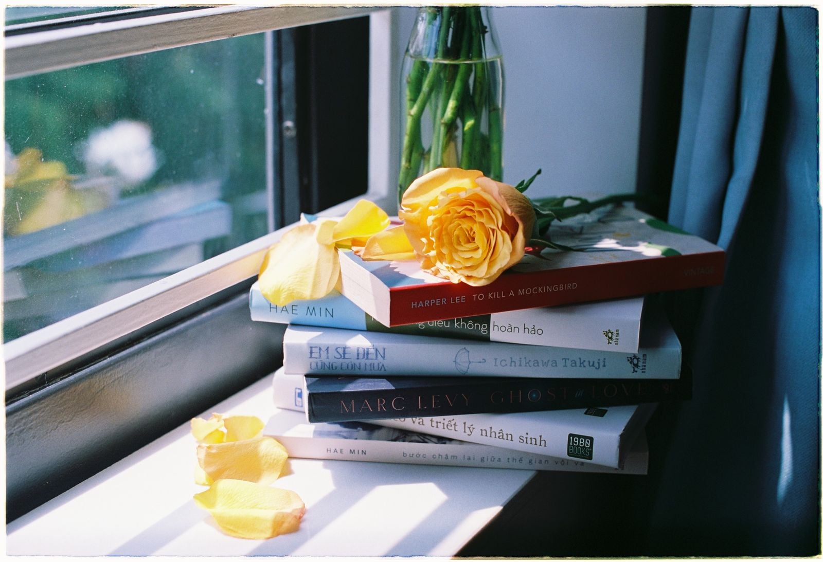 Adults who reread the same handful of novels every few years aren't avoiding new books, they're returning to the version of themselves who first met those pages, before life asked them to be useful to everyone else