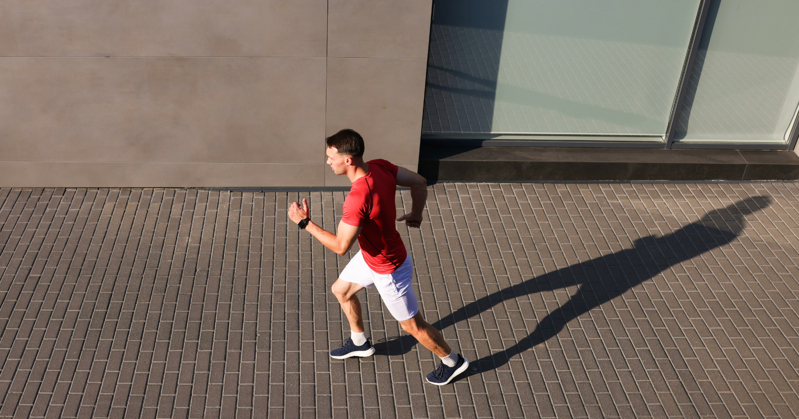 Habit formation takes 66 days, not 21