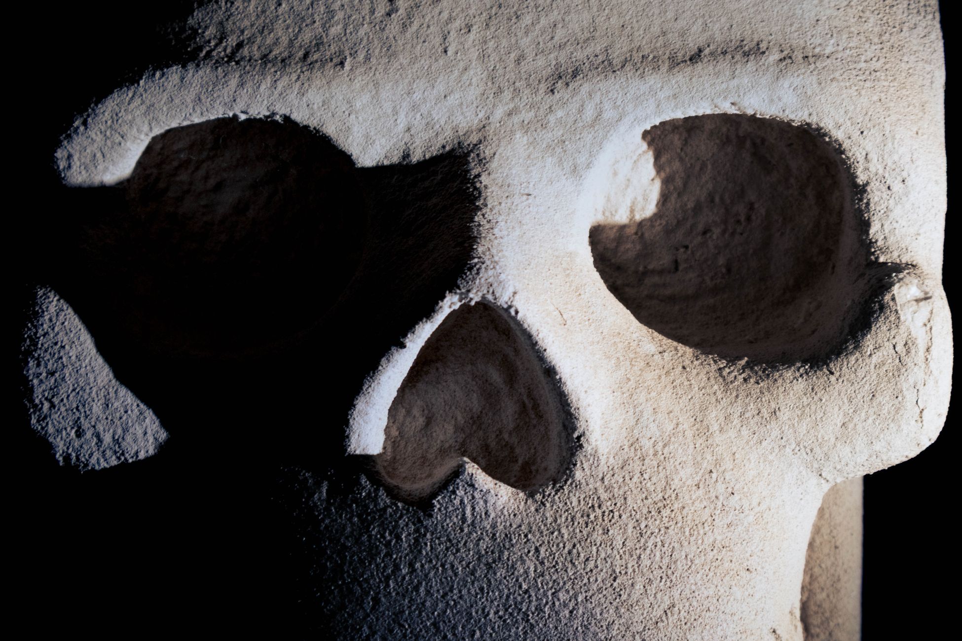 Detailed view of a sculptural skull with dramatic shadows and textures.