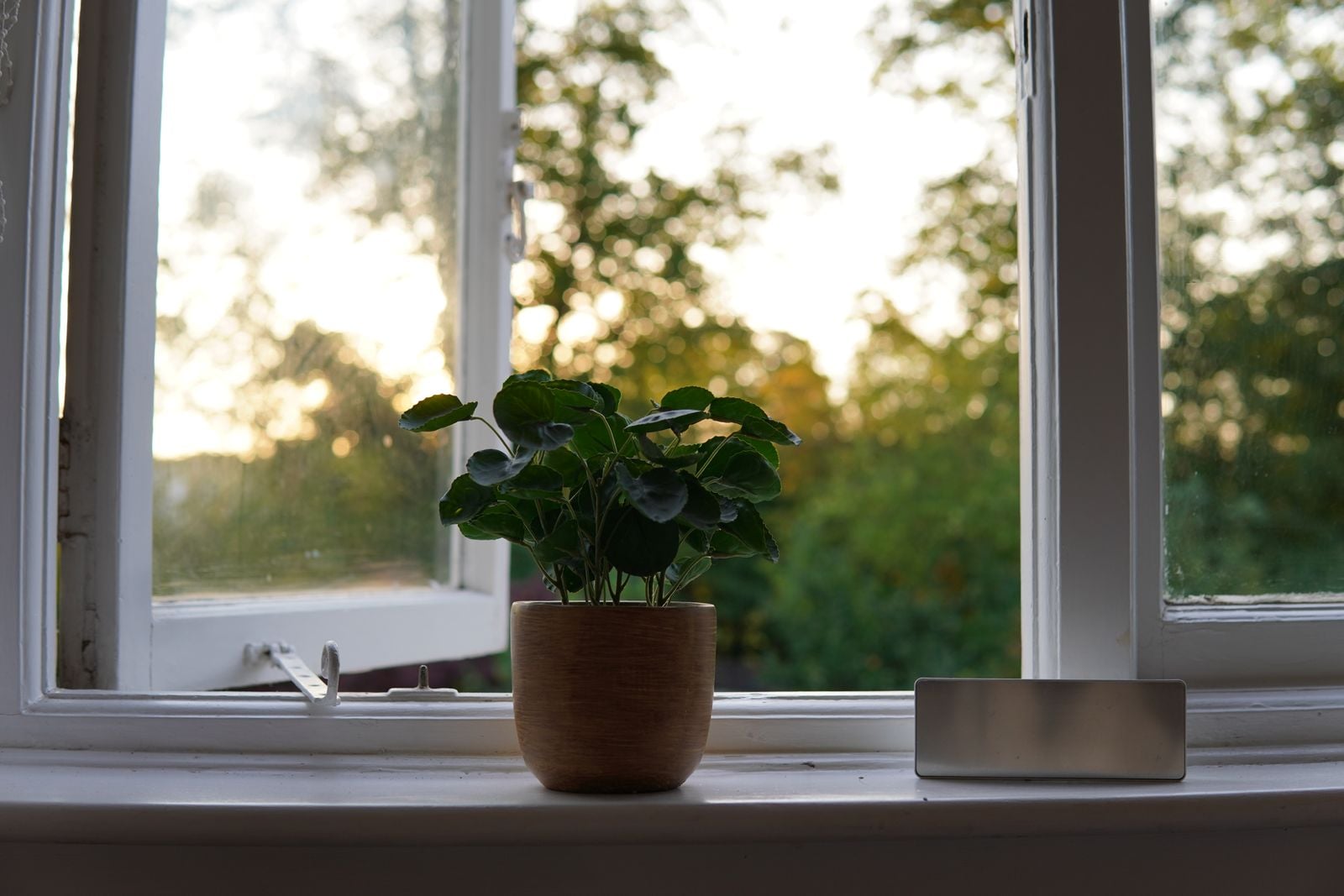 open window morning light