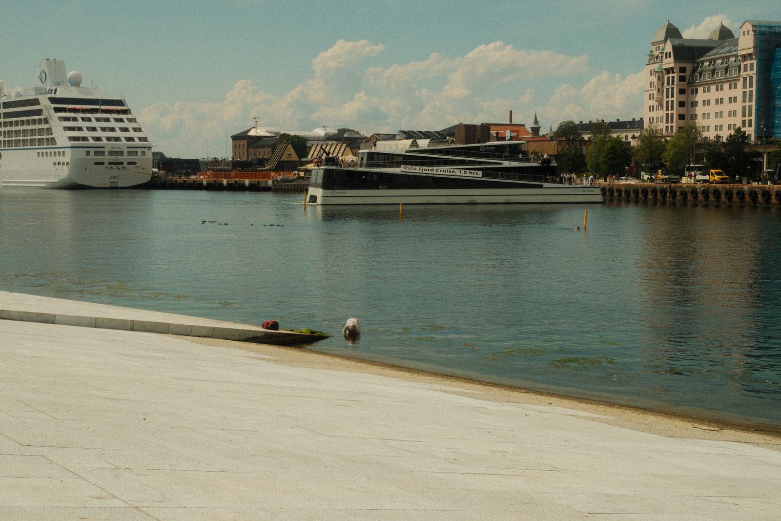Oslo waterfront fjord