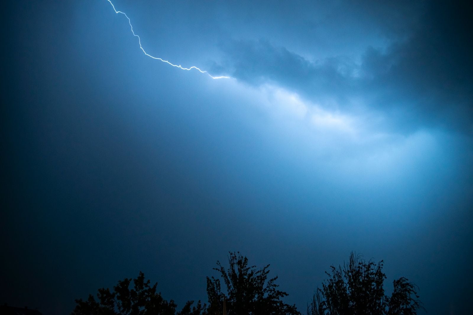 A single bolt of lightning that struck across the southern United States in April 2020 stretched 768 kilometres from Texas to Mississippi, a flash so long the World Meteorological Organization had to rewrite its definition of what a lightning strike can be