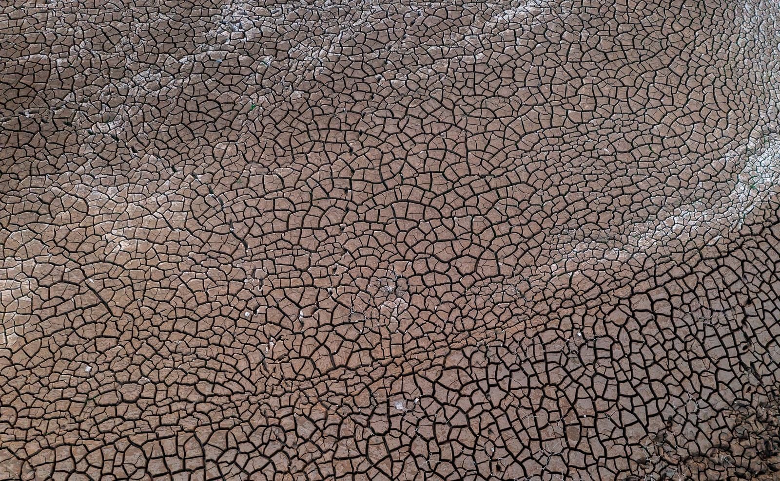 A super El Niño and the Iran war are colliding in the same six-month window, and the models pricing global food risk were never built for shocks arriving in stereo