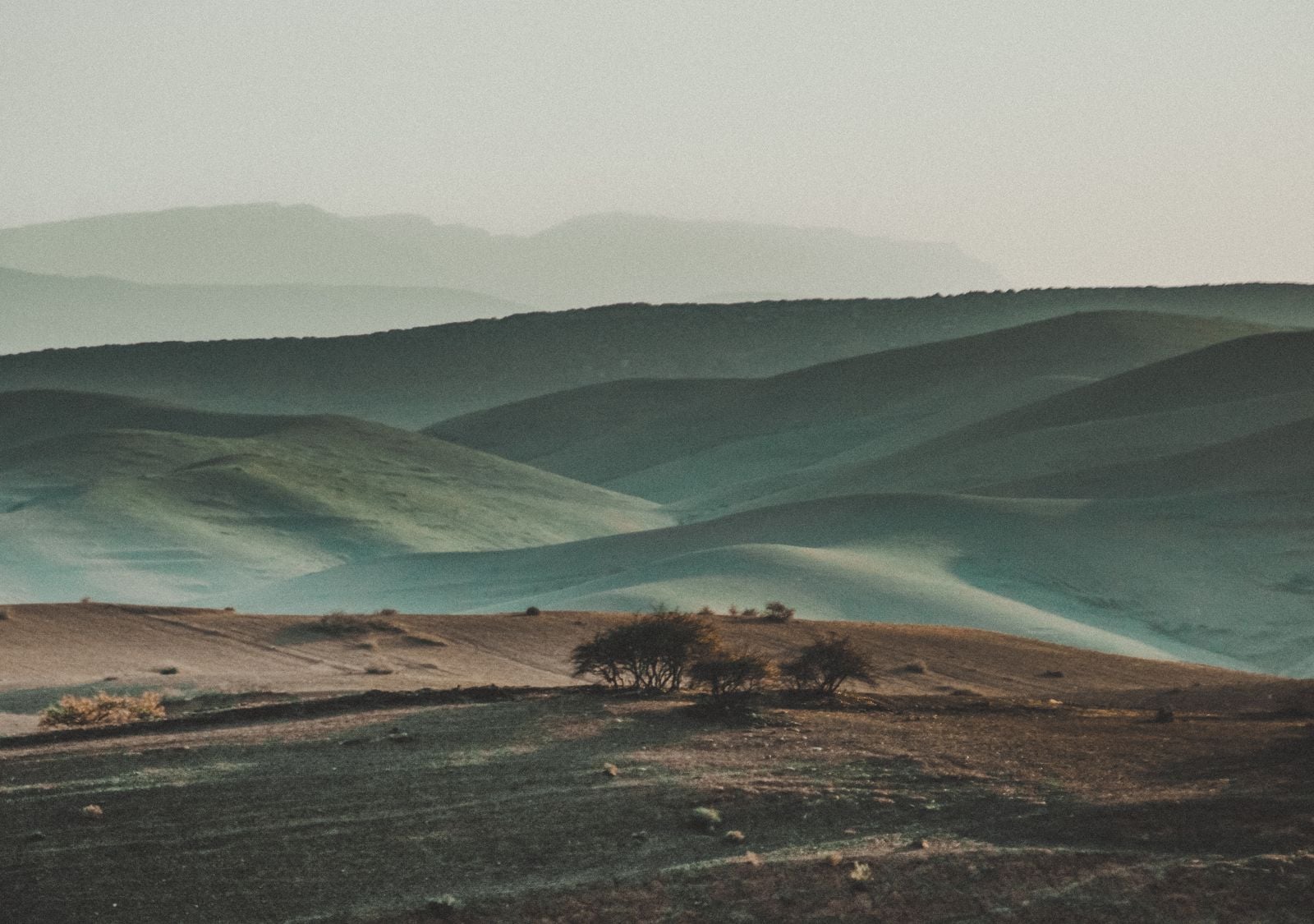 The Atacama Desert in Chile has regions where no rainfall has ever been recorded in human history, yet a fog called camanchaca rolls in from the Pacific and feeds lichen colonies that exist nowhere else on Earth
