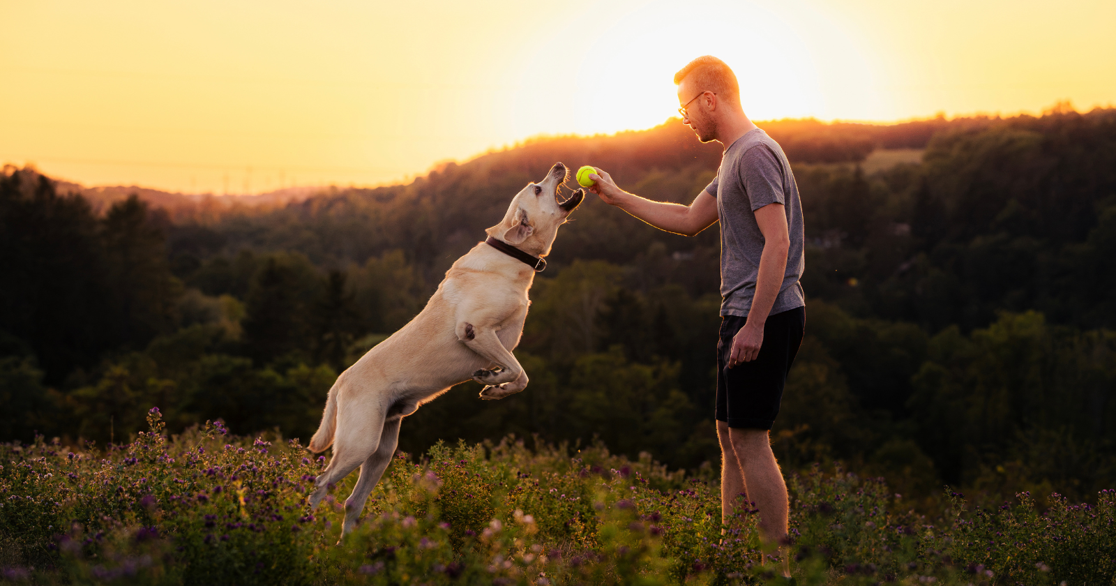 Chasing happiness can be the thing that scares it off: research suggests those who prize being happy above all else often end up lonelier and less content