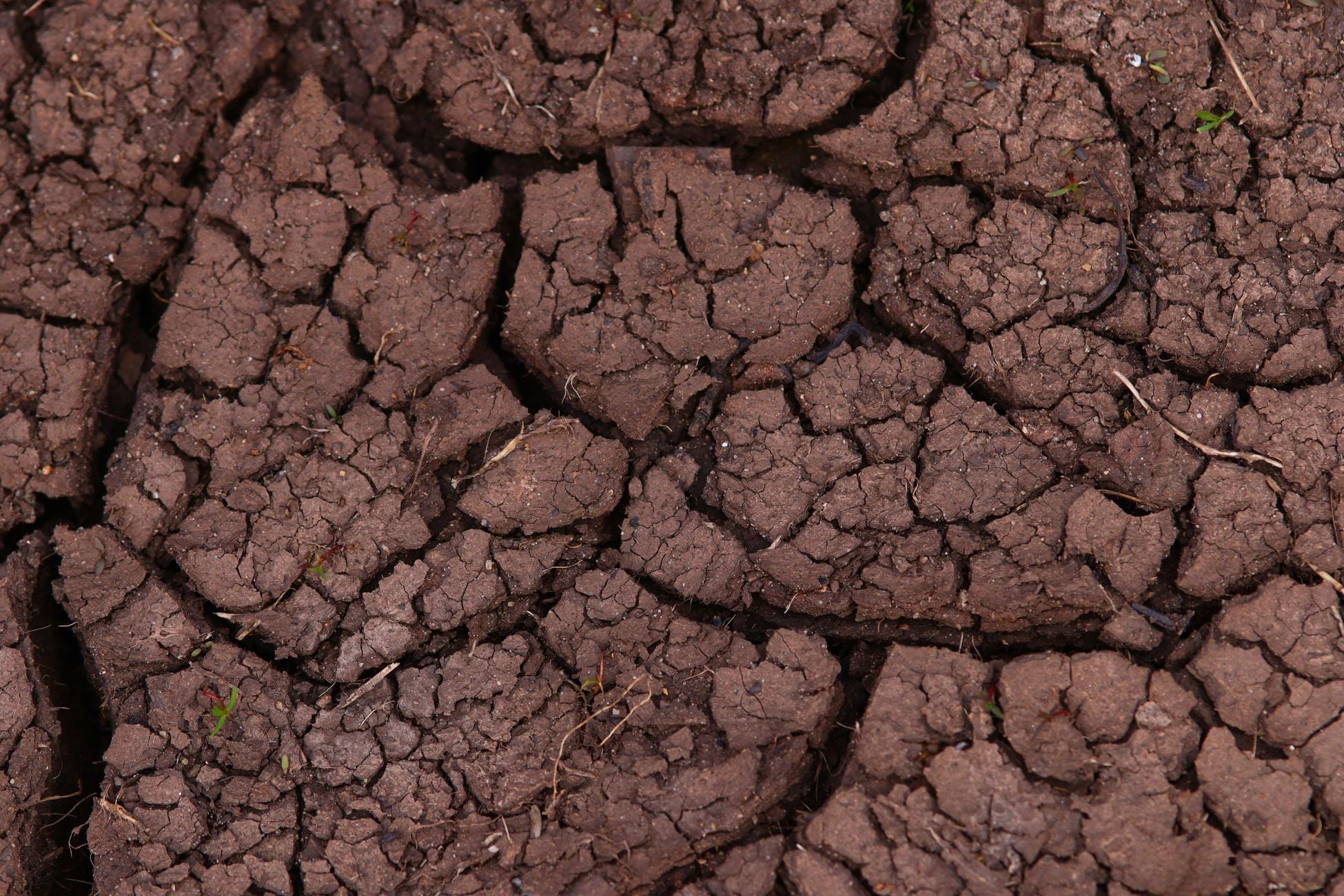 The Sahel is home to roughly 300 million people on the Sahara’s southern edge — a strip of thin soil and scarce rain where a single failed harvest becomes a crisis with no safety net