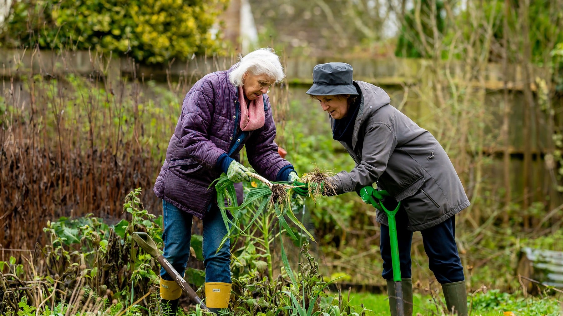 The people who make retirement look easy aren't the ones with the biggest savings, they're the ones who replaced three things before they left, the reason to get up, the people who expected them, and the sense of being useful to someone