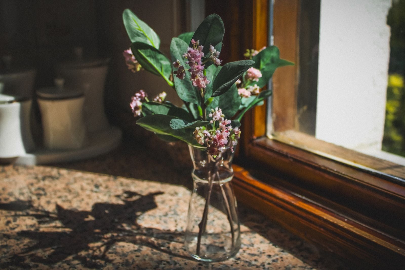 quiet morning window
