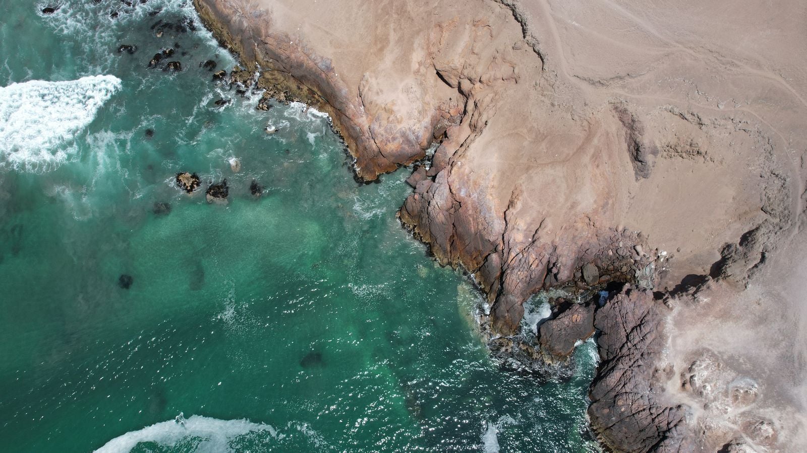 The Atacama Desert in Chile has regions where no rainfall has ever been recorded in human history, yet a fog called camanchaca rolls in from the Pacific and feeds lichen colonies that exist nowhere else on Earth