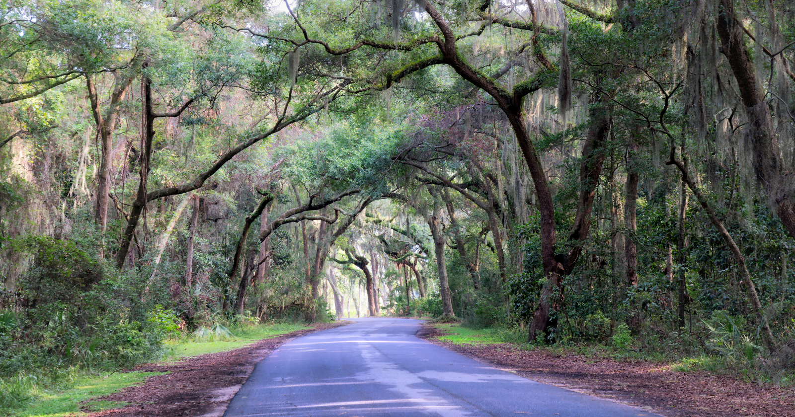 In 1886 a membership of Rockefellers, Morgans and Vanderbilts paid 5,000 for Jekyll Island off Georgia and stored it as a non-public winter retreat for 56 years; in 1947 the state condemned the island, took it for 5,000, and has run it as a state park ever since