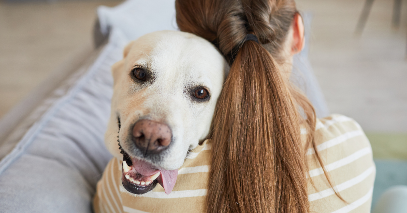 Psychology says people who accumulate five or six nicknames for a single pet aren't eccentric or overly attached — they're using the same kind of playful private language humans often develop in their closest emotional relationships