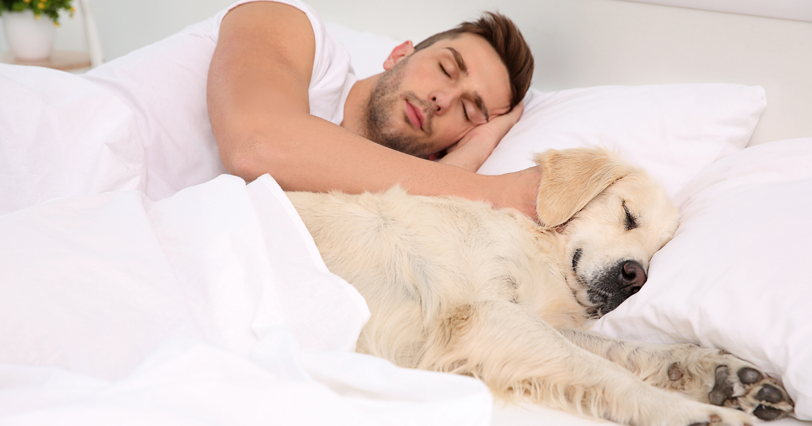 Psychology says people who sleep in the same bed as their pets aren't necessaril...