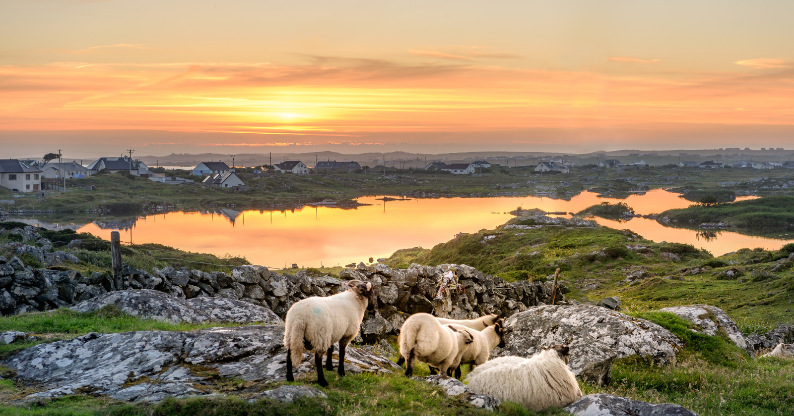 Ireland's data centres used 5 per cent of the country's metered electricity in 2015, but by 2025 they were using 23 per cent — more than every urban household in the country put together