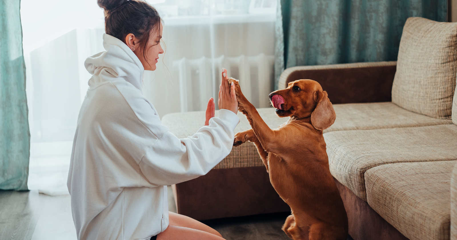 Psychologists say forming your deepest bond with an animal instead of a person isn't a failure to connect — it's often the nervous system choosing the one relationship where closeness carries no threat, no scorekeeping, and no possibility of being pushed away