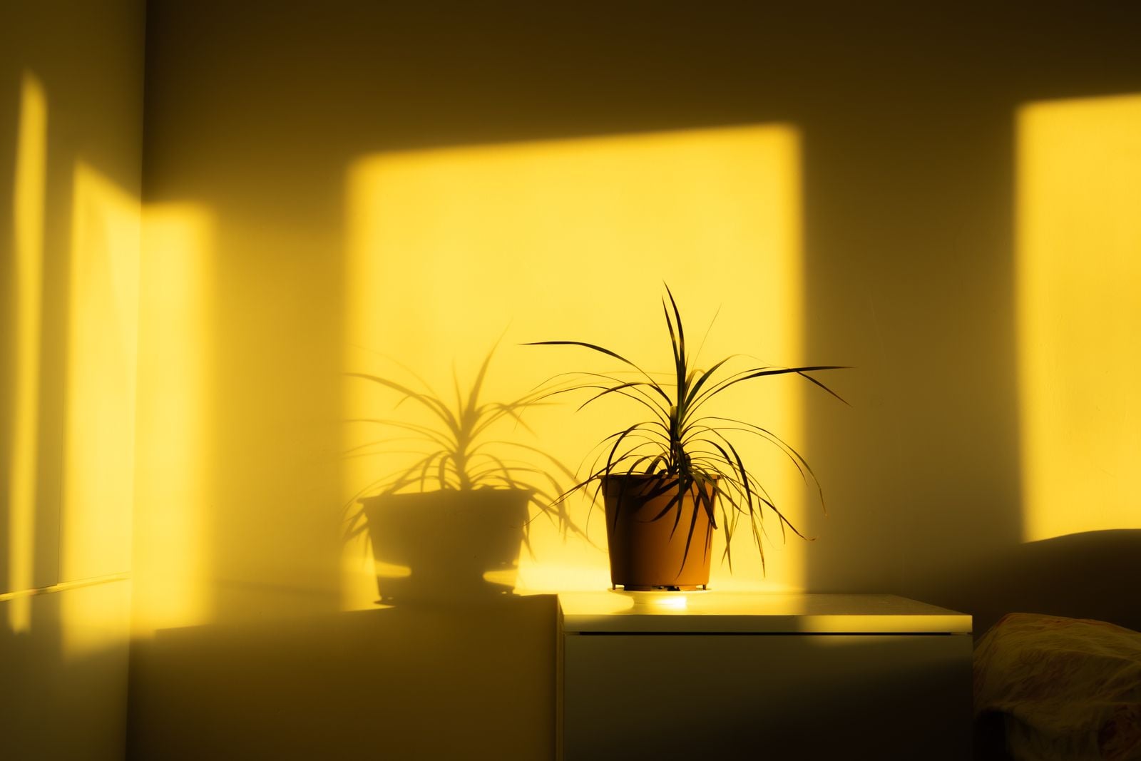 empty living room evening