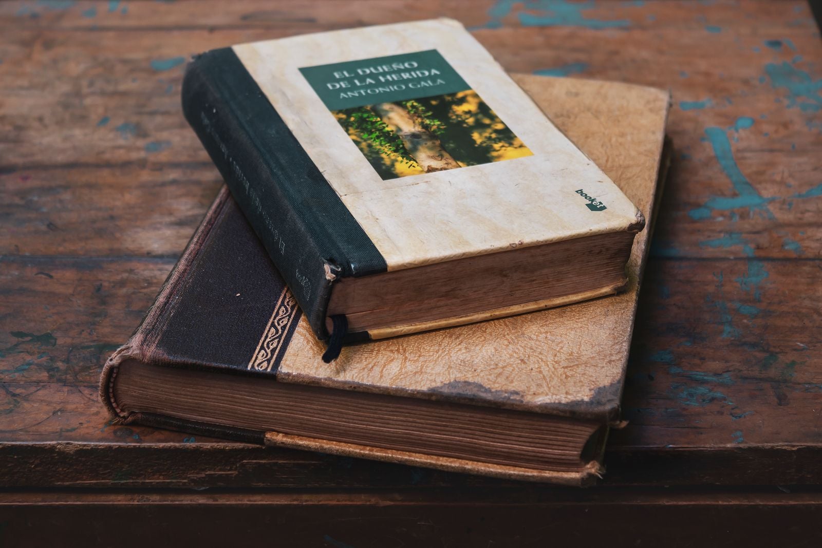 half-read book abandoned