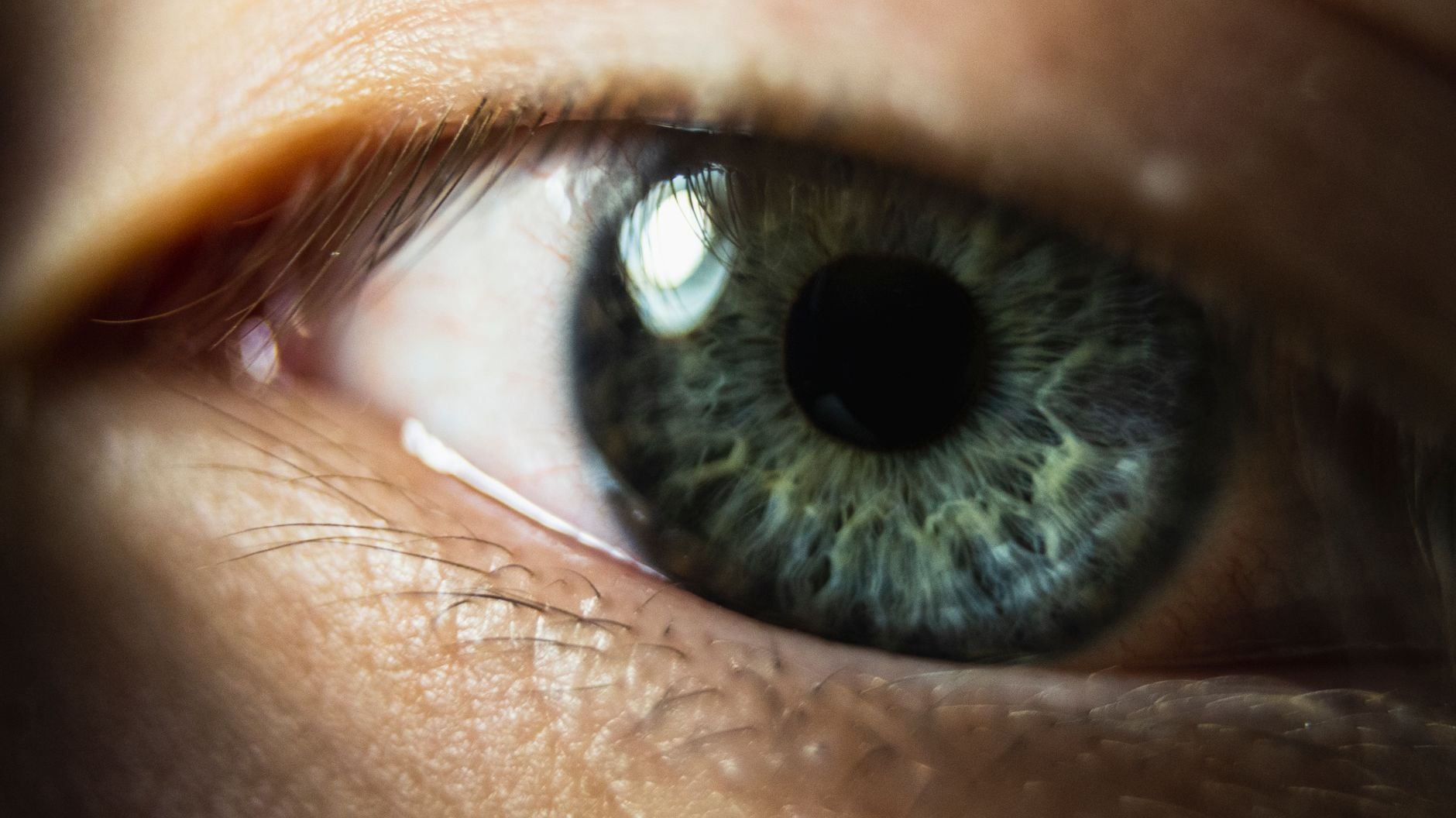 The eyes do leak a little genuine feeling that is hard to fake, from pupil dilation to the crinkle of a real smile, but the confident belief that you can read honesty from someone's gaze is one of psychology's most thoroughly debunked myths