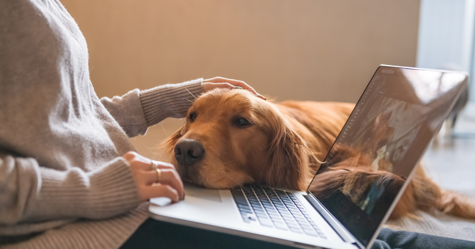 Psychology says individuals who speak to their canines like kids aren’t being immature — people instinctively change the best way they communicate when making an attempt to attach with somebody who can’t reply in phrases, and canines seem remarkably tuned to that sign Psychology says individuals who speak to their canines like kids aren’t being immature — people instinctively change the best way they communicate when making an attempt to attach with somebody who can’t reply in phrases, and canines seem remarkably tuned to that sign