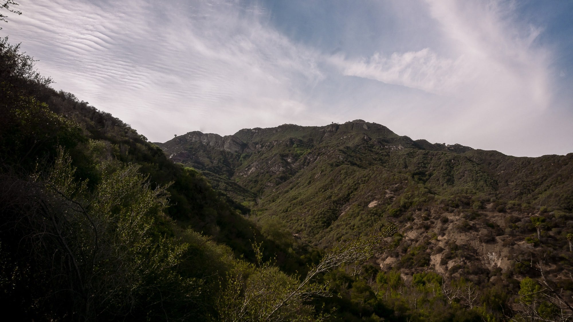 In 1998, Jeopardy! host Alex Trebek donated 74 Hollywood Hills acres worth $2 million, nearly doubling local parkland and protecting trails and a wildlife corridor for deer and coyotes